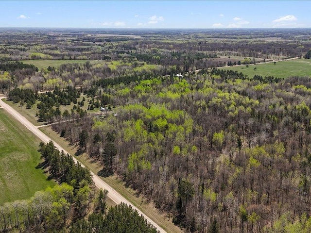 14805 300th St, Red Eye Twp, MN 56477 - drone / aerial view of a forest
