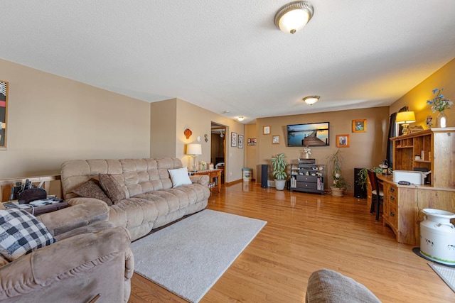 19023 Davis Ave, Faribault, MN 55021 - living area featuring light wood finished floors and a textured ceiling