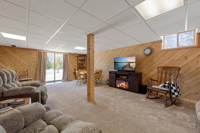 19023 Davis Ave, Faribault, MN 55021 - living area with wood walls and carpet floors