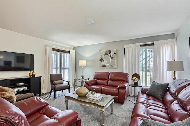 2495 Canabury Dr Unit 220, Little Canada, MN 55117 - view of carpeted living area