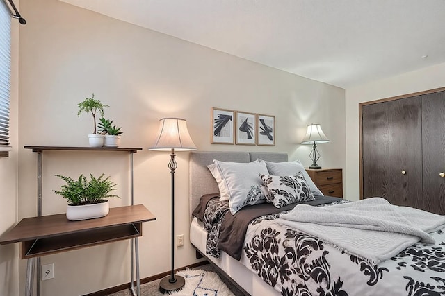 2495 Canabury Dr Unit 220, Little Canada, MN 55117 - bedroom with carpet flooring, baseboards, and a closet