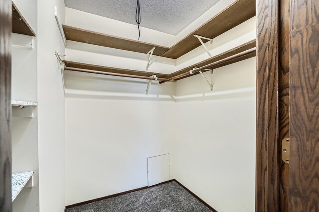 2495 Canabury Dr Unit 220, Little Canada, MN 55117 - spacious closet with carpet