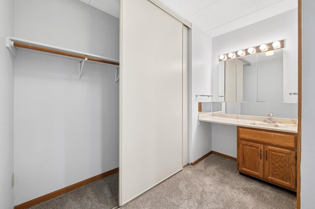 3300 Louisiana Ave S Unit 523, Saint Louis Park, MN 55426 - bathroom with vanity and carpet