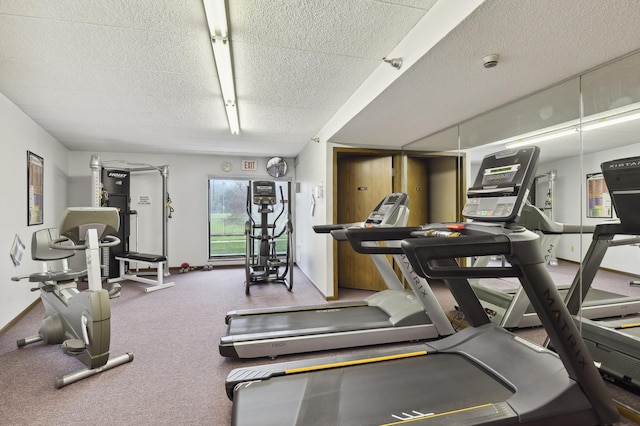 3300 Louisiana Ave S Unit 523, Saint Louis Park, MN 55426 - gym featuring a textured ceiling and carpet