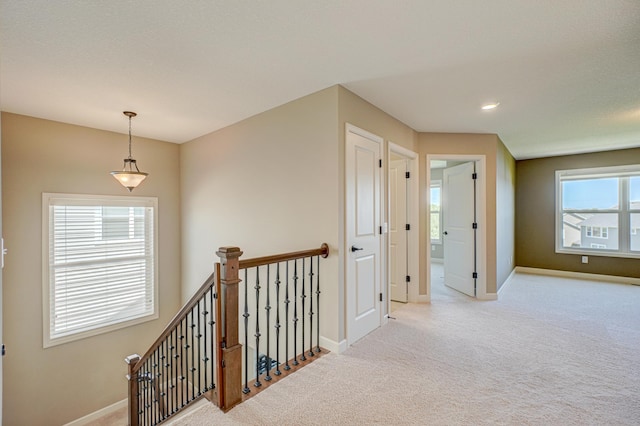 4764 Ashton Curv, Woodbury, MN 55129 - hallway with an upstairs landing and carpet