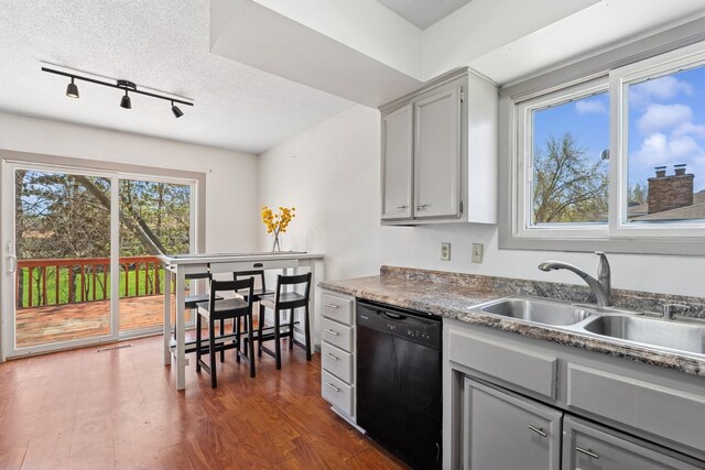 kitchen with track lighting, a sink, dishwasher, and gray cabinetry