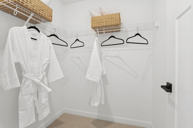 spacious closet featuring carpet floors