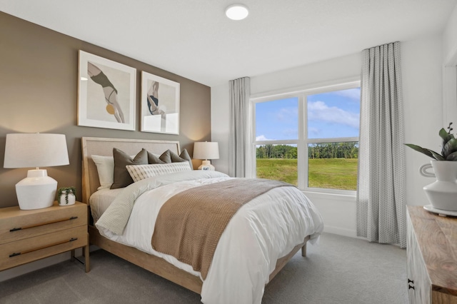 bedroom with carpet floors