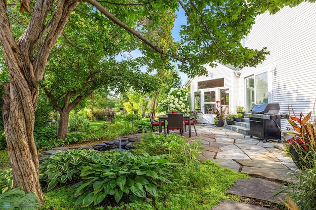 view of yard featuring a patio area