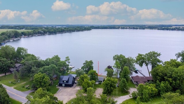 21370 654th Ave, Darwin, MN 55324 - drone / aerial view of a nearby body of water