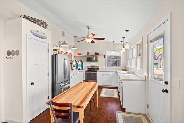 21370 654th Ave, Darwin, MN 55324 - kitchen featuring stainless steel appliances, light countertops, dark wood finished floors, lofted ceiling, and a ceiling fan