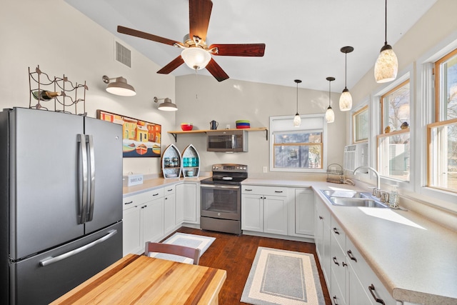 21370 654th Ave, Darwin, MN 55324 - kitchen with appliances with stainless steel finishes, vaulted ceiling, a sink, dark wood finished floors, and healthy amount of natural light
