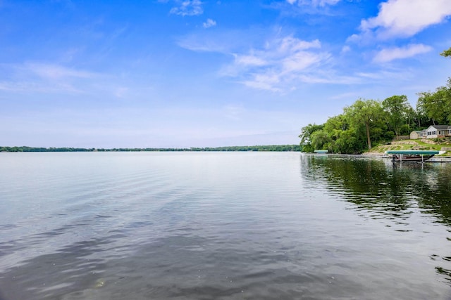 21370 654th Ave, Darwin, MN 55324 - water view