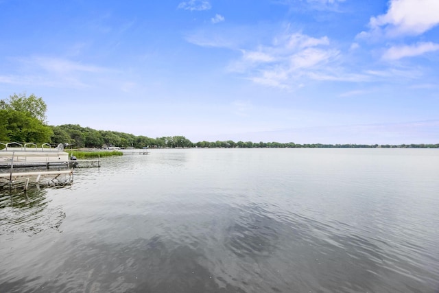21370 654th Ave, Darwin, MN 55324 - water view with a dock