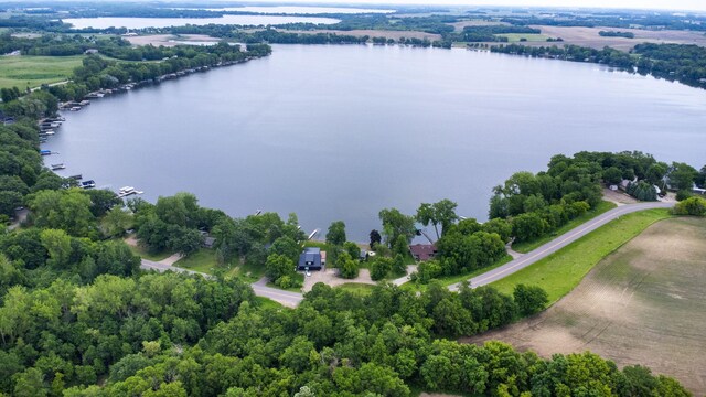 21370 654th Ave, Darwin, MN 55324 - bird's eye view of a nearby body of water