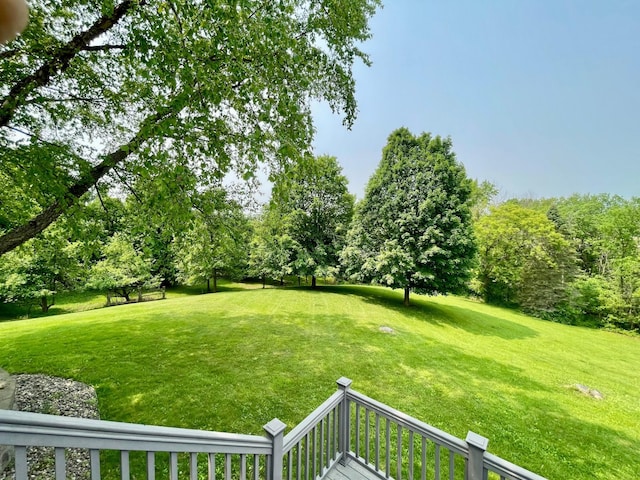 32337 Juniper Rd, Chatfield, MN 55923 - view of green lawn