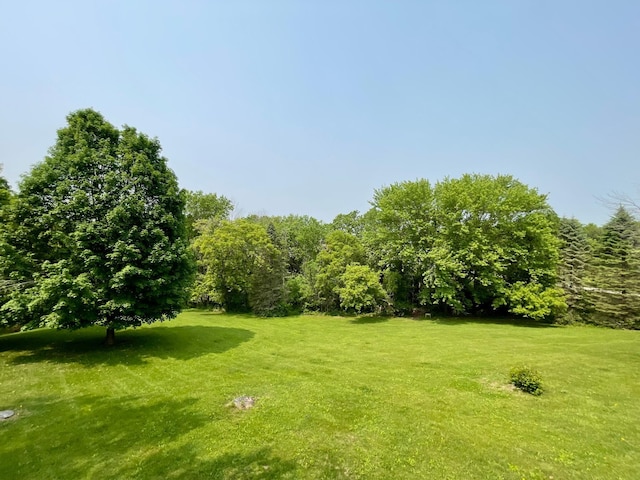 32337 Juniper Rd, Chatfield, MN 55923 - view of grassy yard