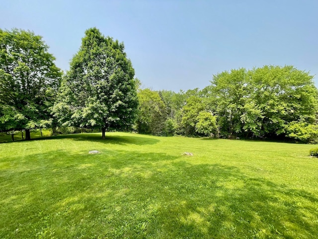 32337 Juniper Rd, Chatfield, MN 55923 - view of grassy yard