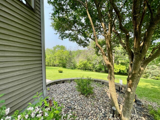 32337 Juniper Rd, Chatfield, MN 55923 - view of green lawn