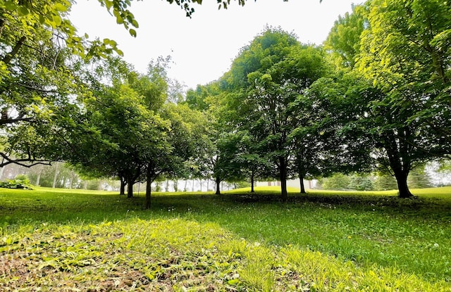 32337 Juniper Rd, Chatfield, MN 55923 - view of yard