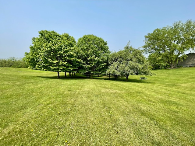 32337 Juniper Rd, Chatfield, MN 55923 - view of grassy yard