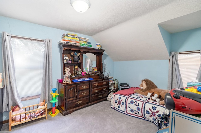 6200 37th St W, Webster, MN 55088 - bedroom with carpet and vaulted ceiling