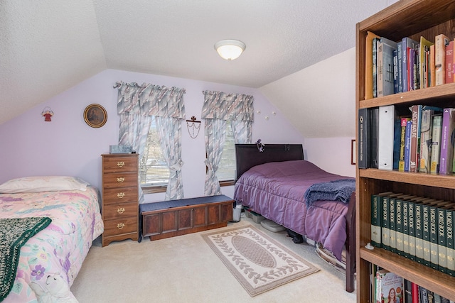 6200 37th St W, Webster, MN 55088 - bedroom featuring lofted ceiling, carpet flooring, and a textured ceiling
