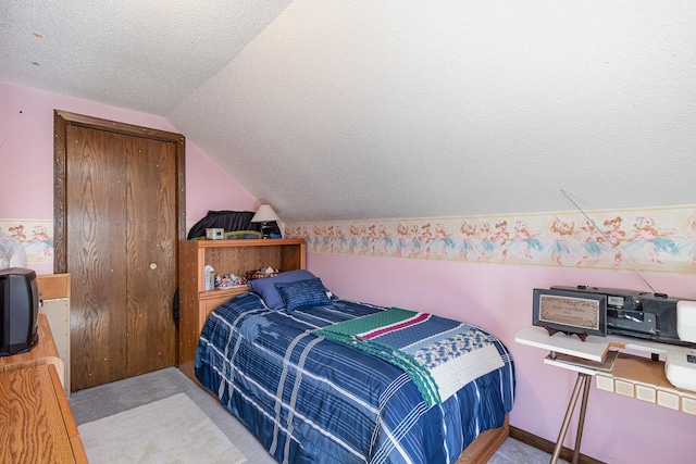 6200 37th St W, Webster, MN 55088 - bedroom featuring lofted ceiling, carpet, and a textured ceiling