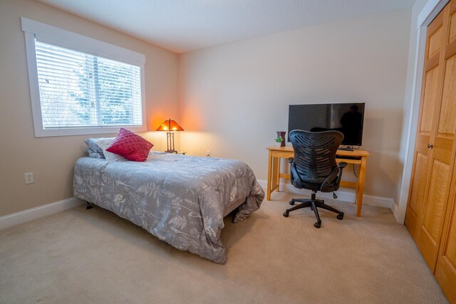 122 Ridge Rd, New London, MN 56273 - bedroom with light carpet, baseboards, and a closet