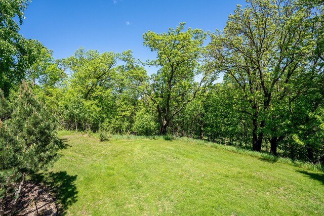 122 Ridge Rd, New London, MN 56273 - view of grassy yard with a view of trees