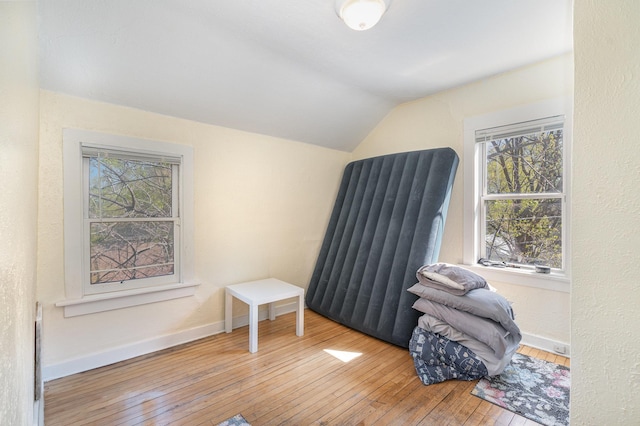560 Stryker Ave, Saint Paul, MN 55107 - interior space featuring a wealth of natural light, vaulted ceiling, baseboards, and hardwood / wood-style flooring