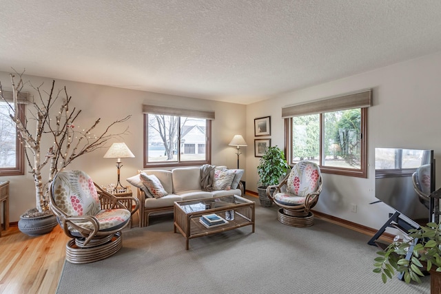 30 Interlachen Ln, Tonka Bay, MN 55331 - living area featuring plenty of natural light and a textured ceiling