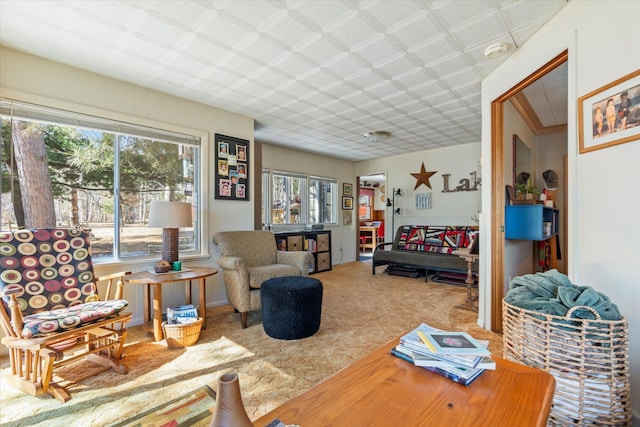 living room with carpet flooring