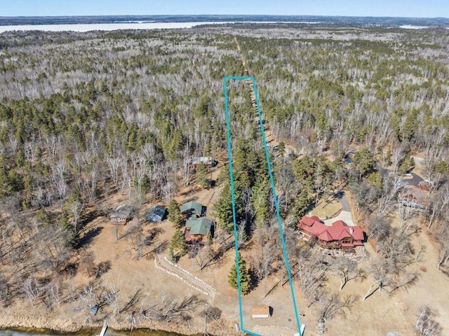 aerial overview of property's location featuring a forest and property parcel outlined