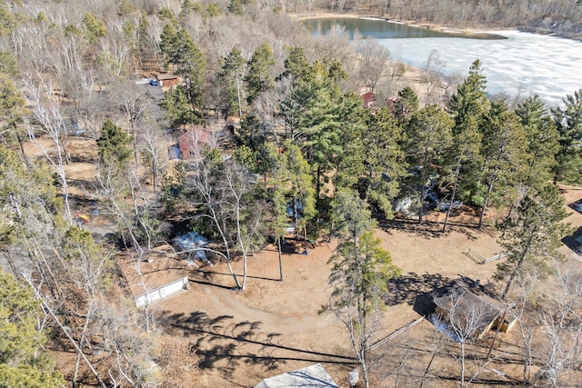 drone / aerial view of a large body of water