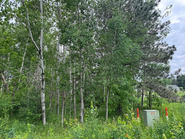 19XX Shoreview Cir, Arthur Twp, MN 55051
