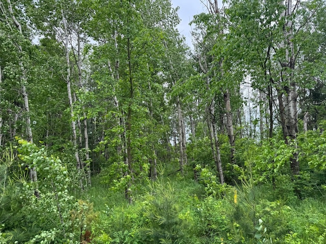 19XX Shoreview Cir, Arthur Twp, MN 55051