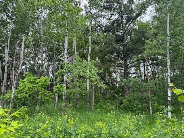 19XX Shoreview Cir, Arthur Twp, MN 55051