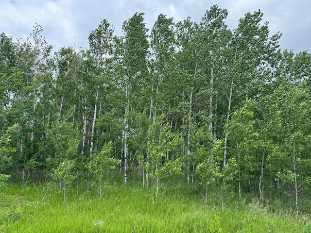 19XX Shoreview Cir, Arthur Twp, MN 55051