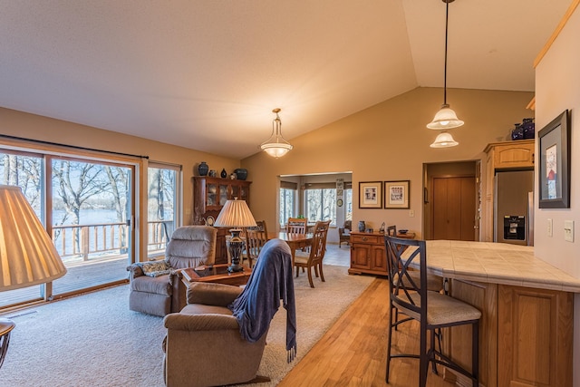 48987 Tamarac Dr, Scambler Twp, MN 56572 - living room featuring light wood-type flooring and high vaulted ceiling