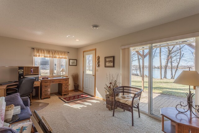 48987 Tamarac Dr, Scambler Twp, MN 56572 - office with a textured ceiling, a water view, baseboards, and light carpet