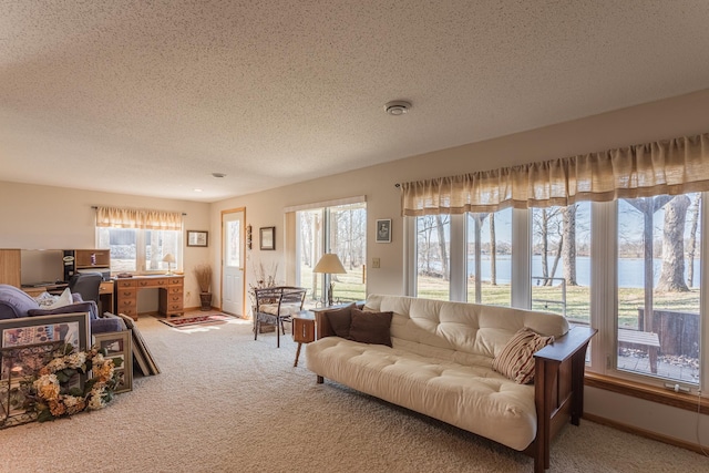 48987 Tamarac Dr, Scambler Twp, MN 56572 - living room with a wealth of natural light, carpet flooring, a textured ceiling, and a water view