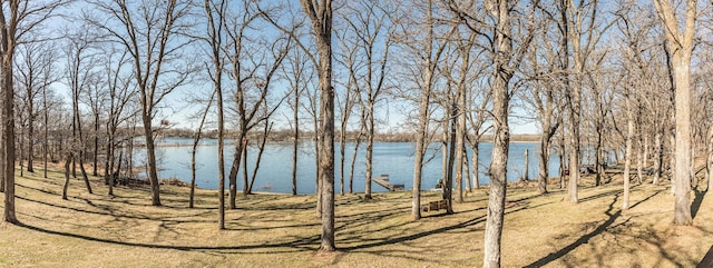 48987 Tamarac Dr, Scambler Twp, MN 56572 - water view