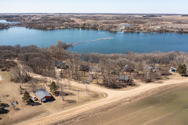 48987 Tamarac Dr, Scambler Twp, MN 56572 - bird's eye view with a water view