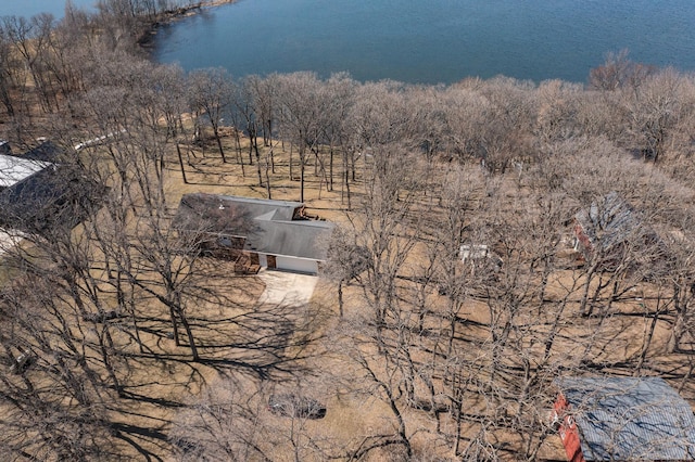 48987 Tamarac Dr, Scambler Twp, MN 56572 - aerial view with a water view