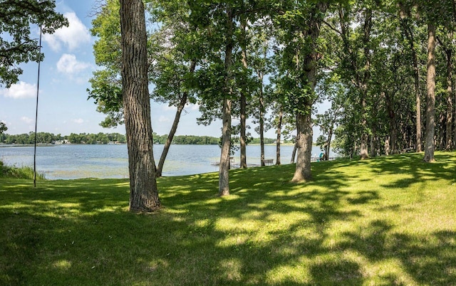 48987 Tamarac Dr, Scambler Twp, MN 56572 - photo 8