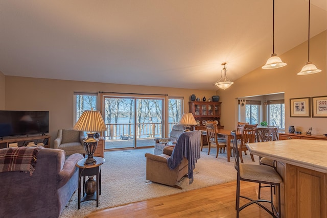 48987 Tamarac Dr, Scambler Twp, MN 56572 - photo 14