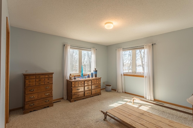 48987 Tamarac Dr, Scambler Twp, MN 56572 - photo 24