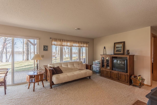 48987 Tamarac Dr, Scambler Twp, MN 56572 - photo 30