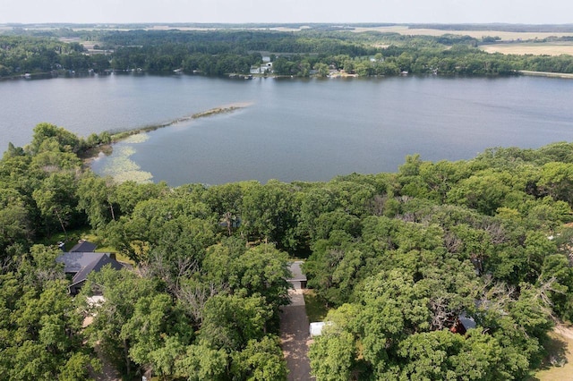 48987 Tamarac Dr, Scambler Twp, MN 56572 - photo 10